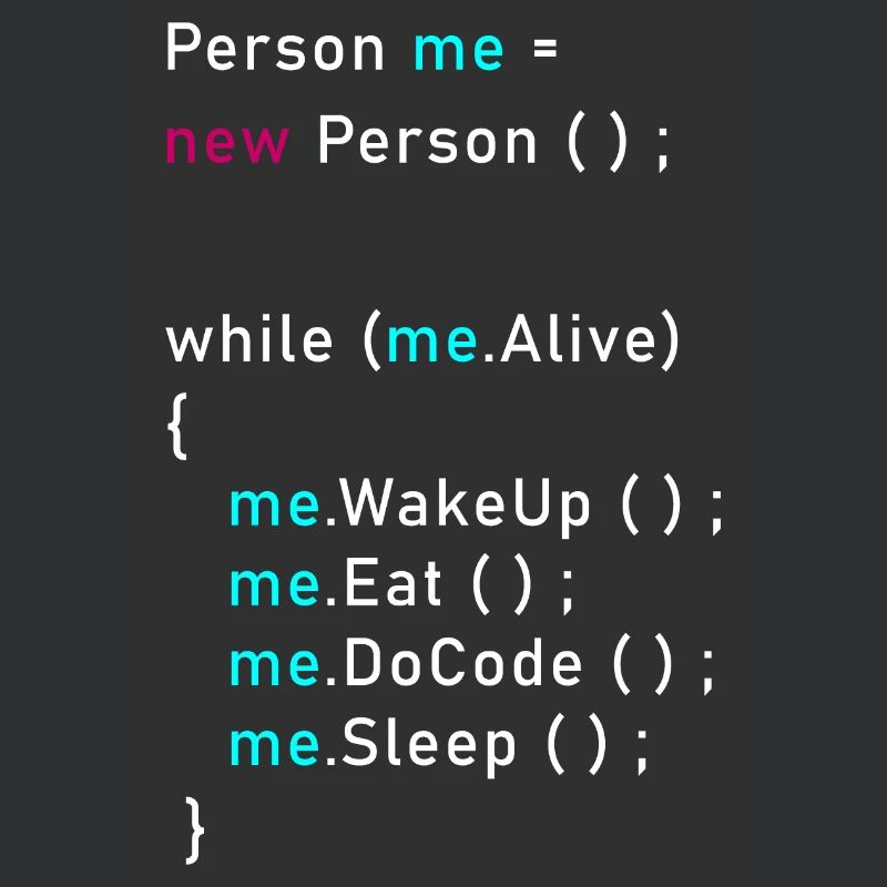 Personne moi = nouvelle personne (); Code de programmation Java
