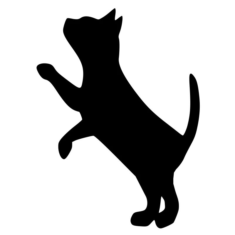 cat2
