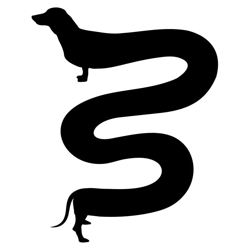 long teckel, drôle de teckel, long teckel