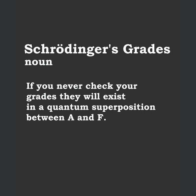 Schrödinger's grades physics nerd science gift