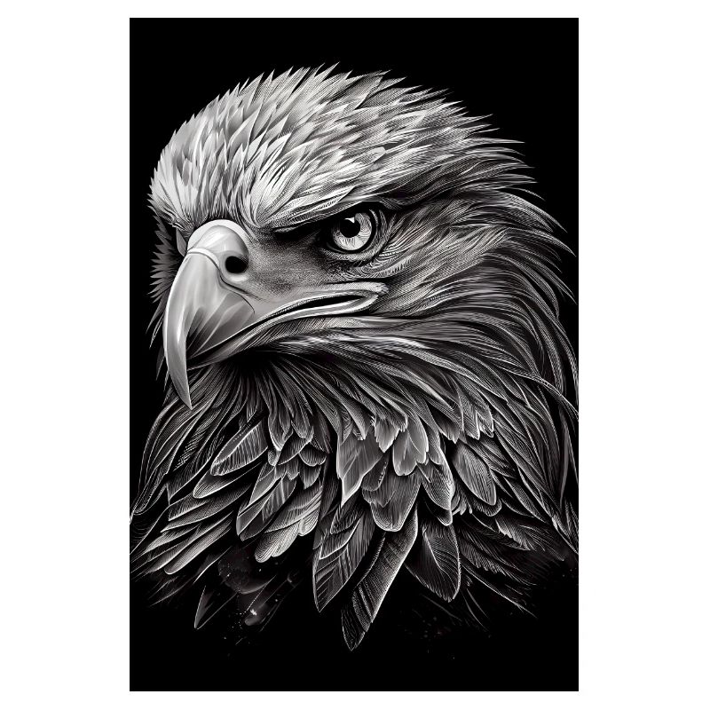Eagle Animal Eagle Bald Eagle Drawn