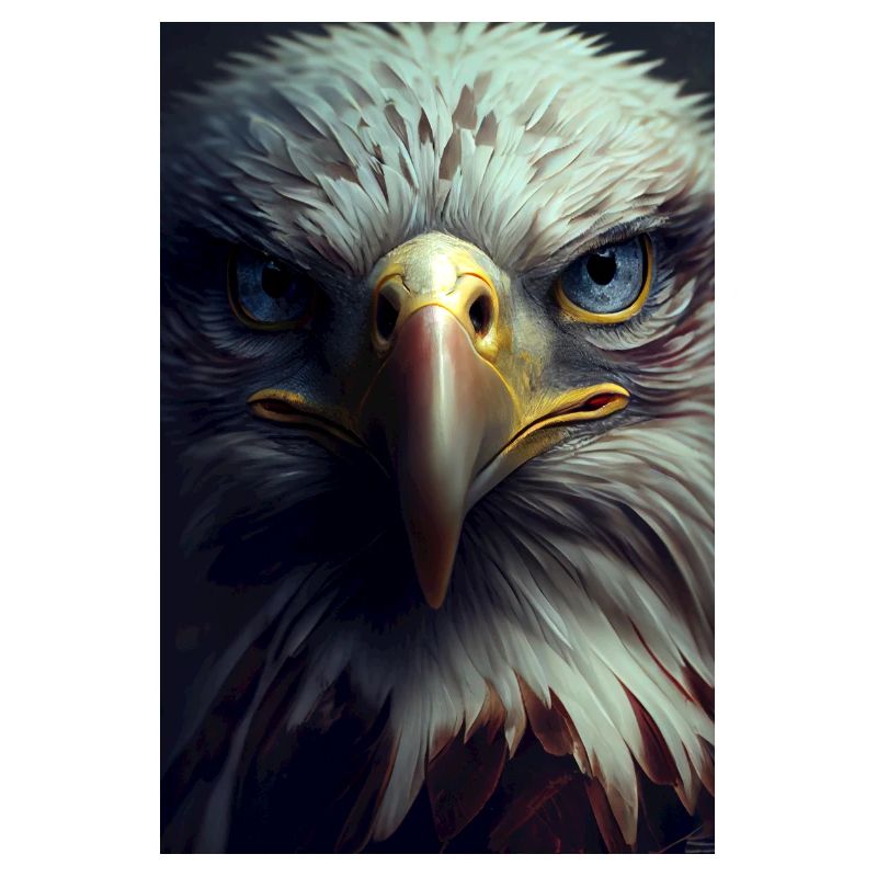 Eagle Animal Eagle Bald Eagle Face