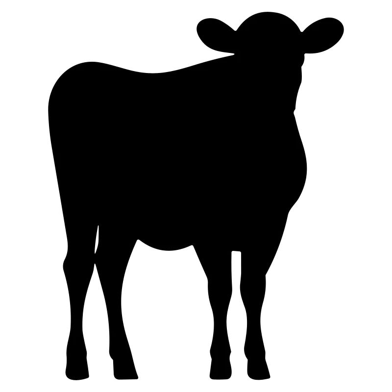 vache