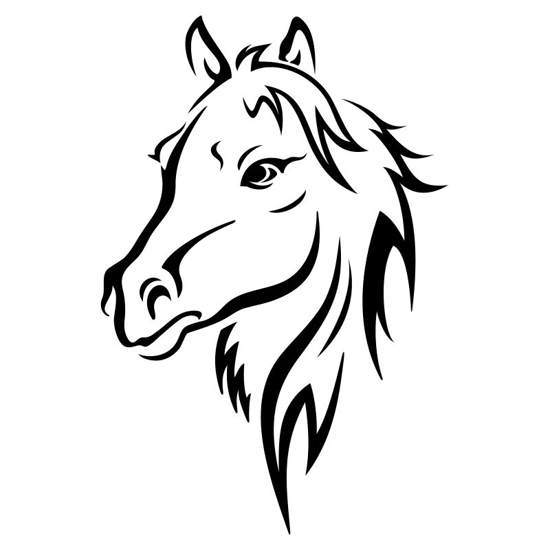 PFERDEKOPF PORTRAIT HENGST STUTE