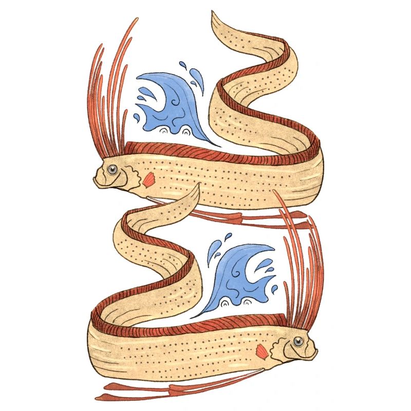 Strapfish (Sang-de-S