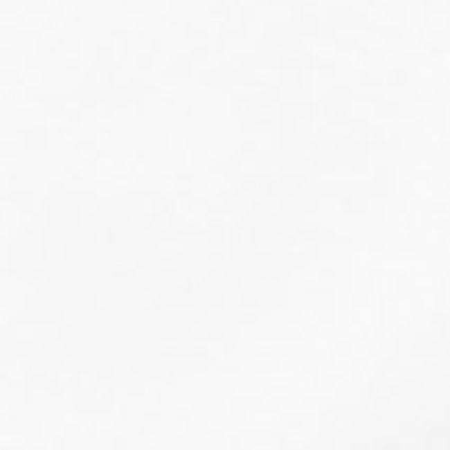 LOGO STREETWAY BLANC