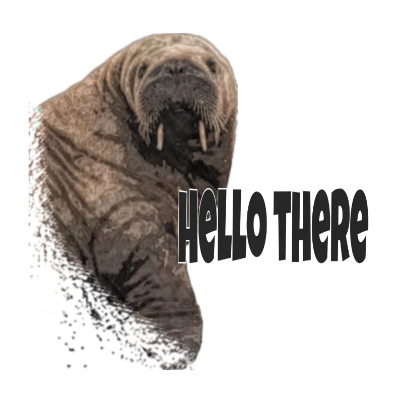 Walrus