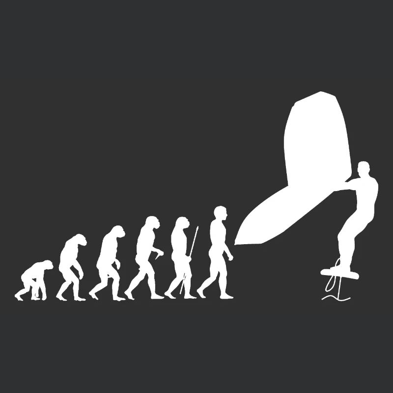 Wingsurf Evolution