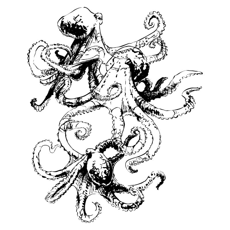 Octopus