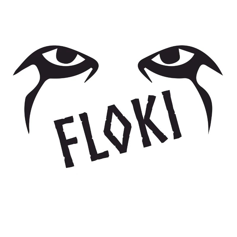 Floki Wikinger