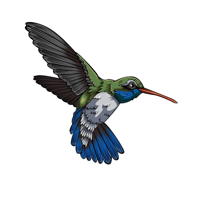 Kolibri