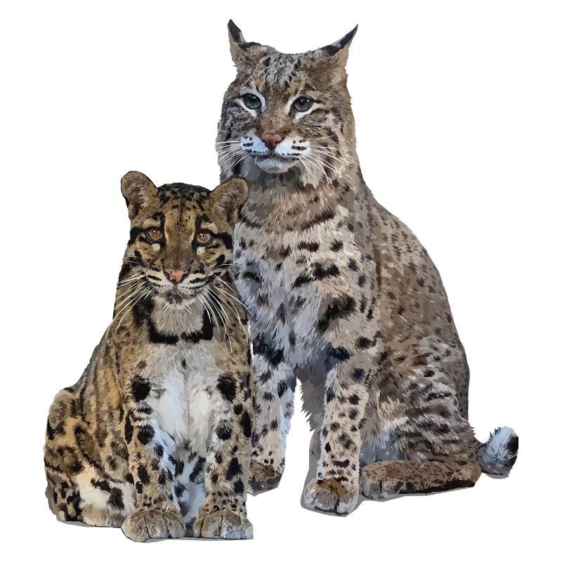 Clouded leopard and lynx