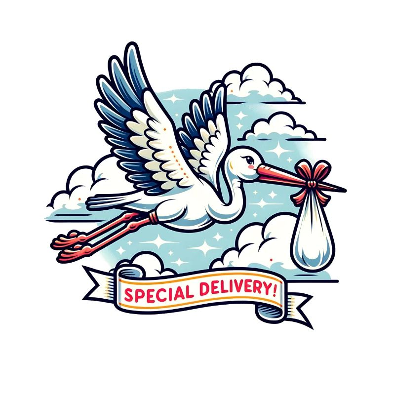 Special arrival with stork and clouds