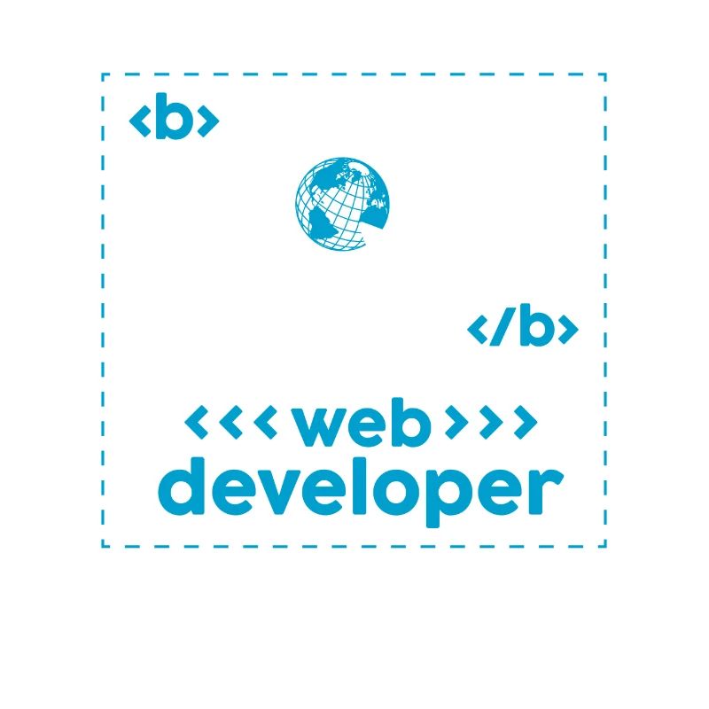 Développeur Web Développement de sites Web Programmeur informatique