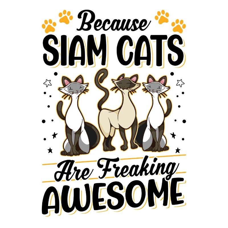 Parce que les Chats du Siam sont impressionnants