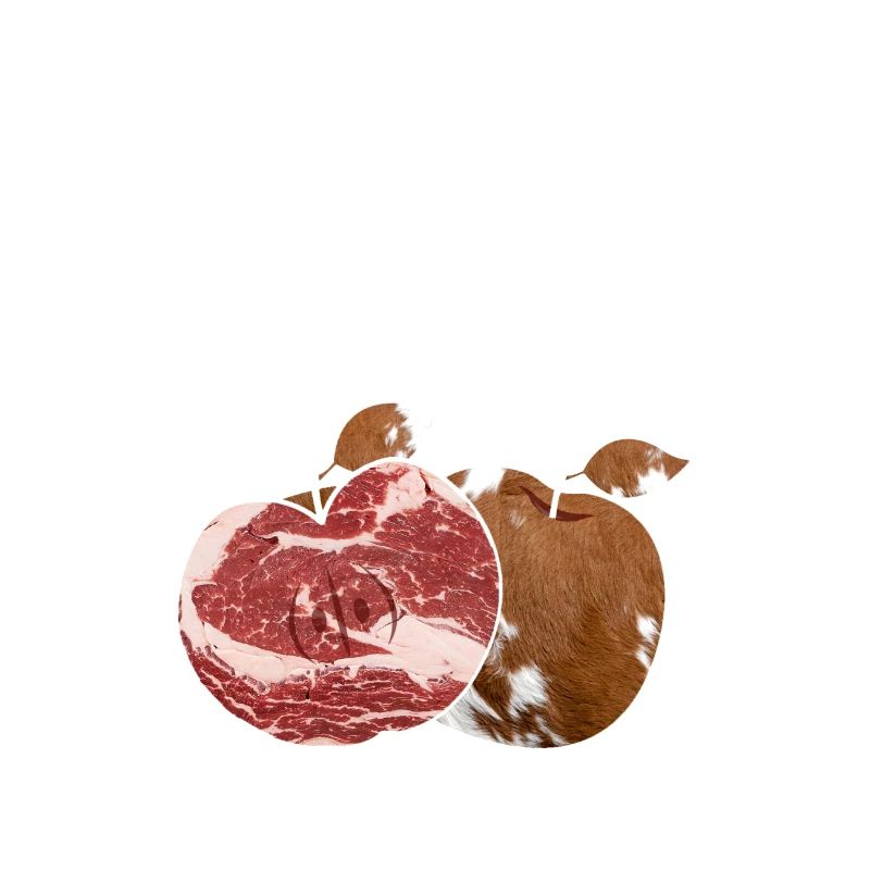 carnivore