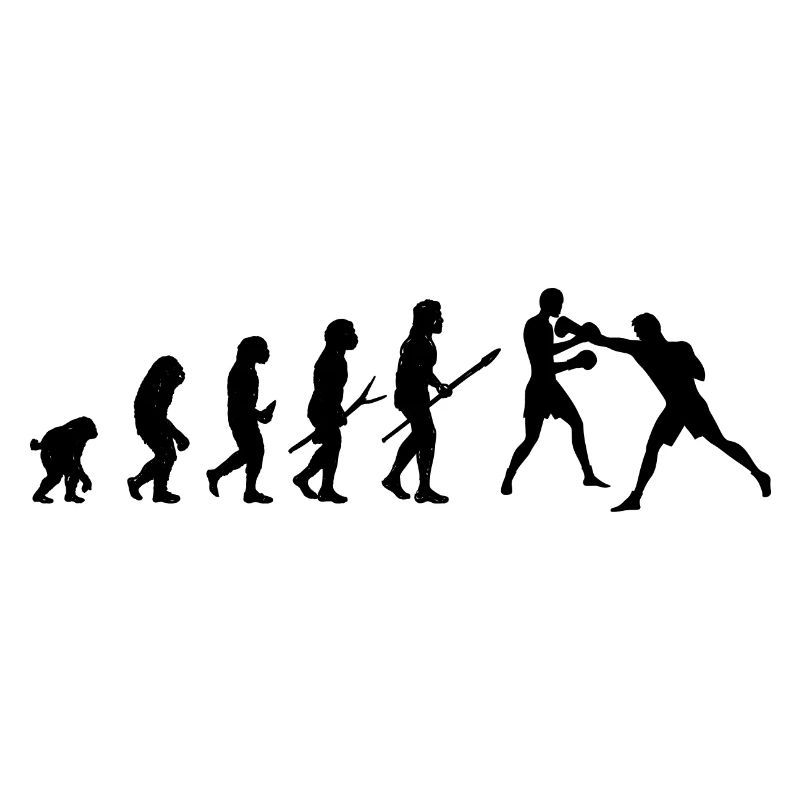 Sport Boxing Evolution Prehistory