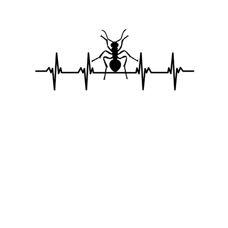 Insect Crawl Chitinous Tanks Fly Wing Ant