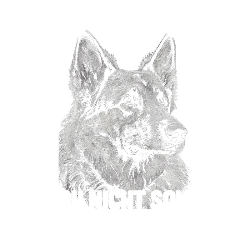 Deutscher Schäferhund Hund Malinois