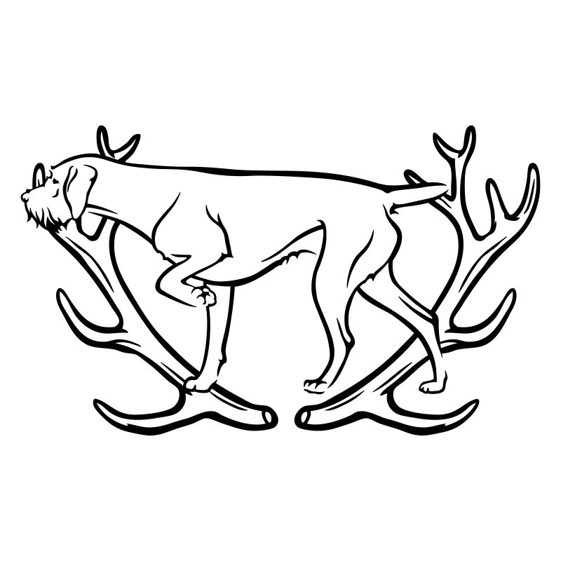 Deutsch Drahthaar - Geweih