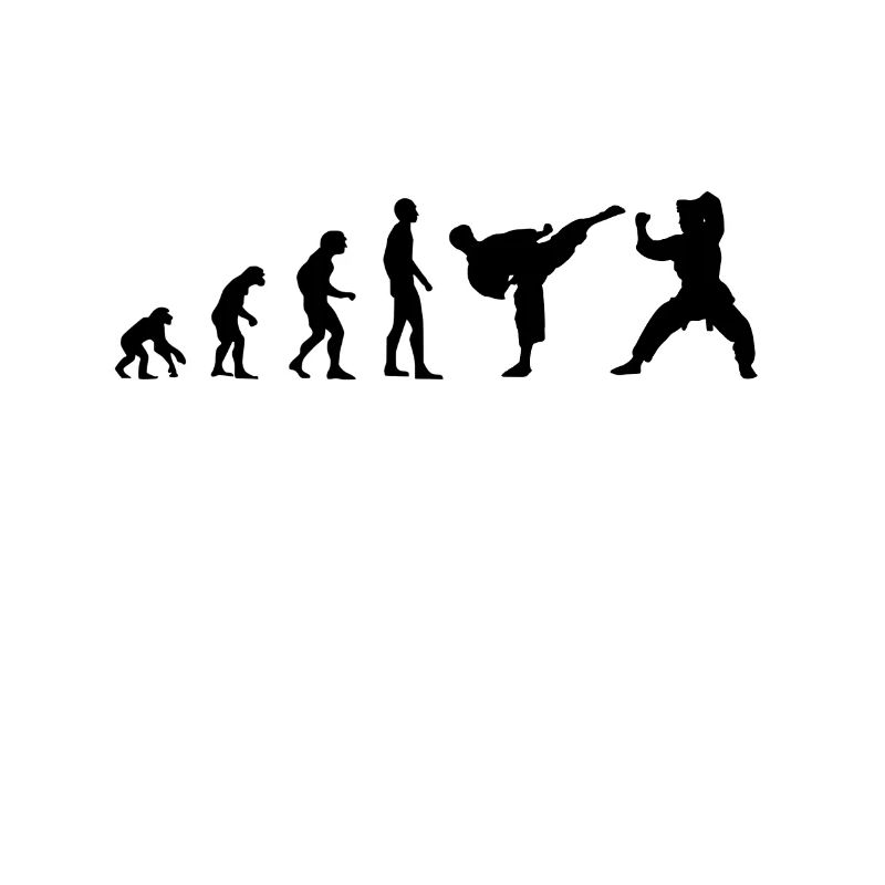 Kampfsport Evolution