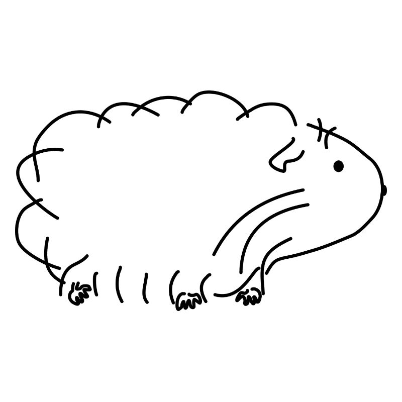 Cochon d'Inde
