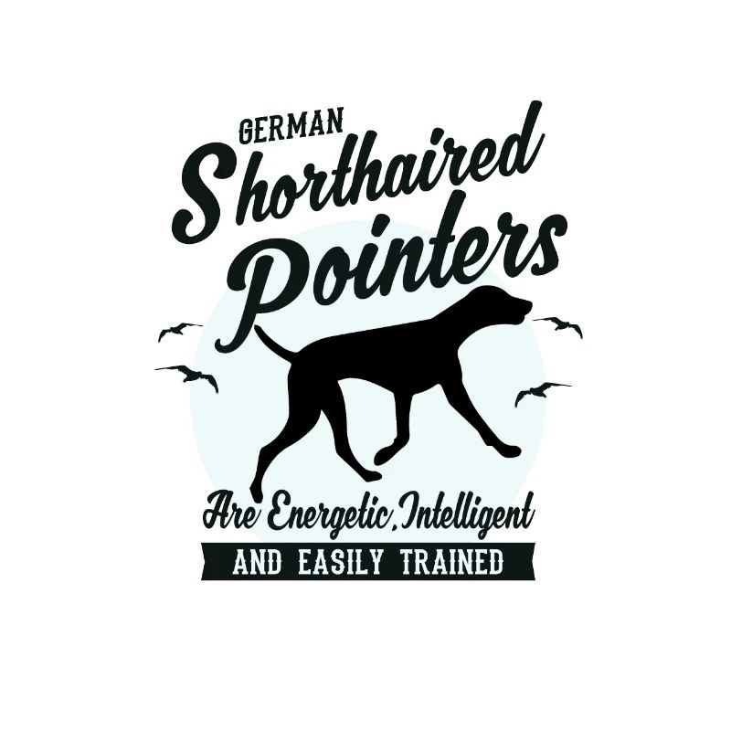 Pointer dog