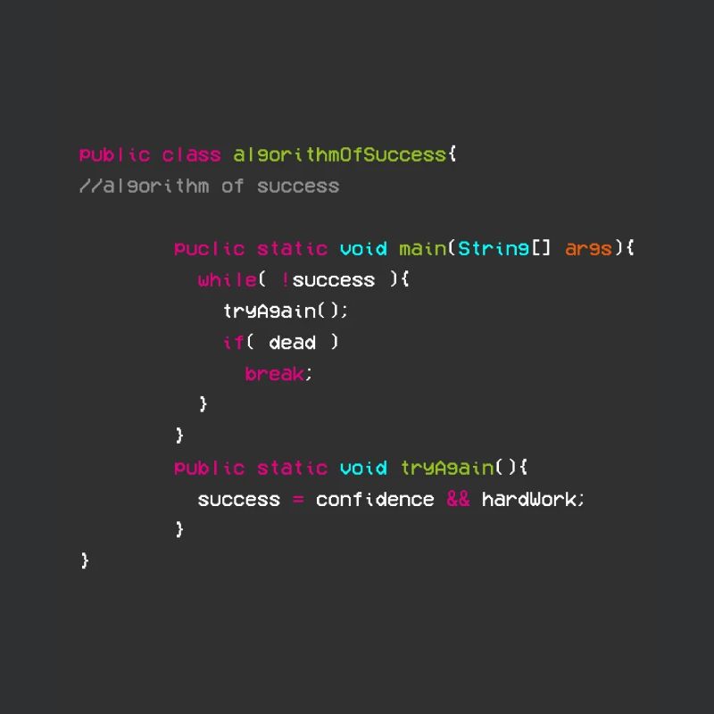 Algorithm Of Success - Coder - Informatiker