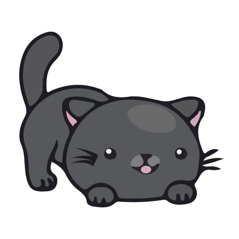 Chat mignon chaton mignon