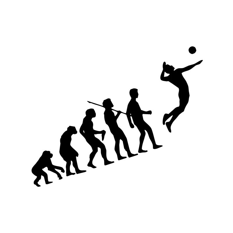 Volleyball Evolution
