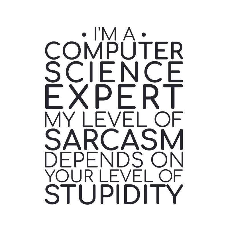 « Sarcasme d’expert en informatique | Informatique »