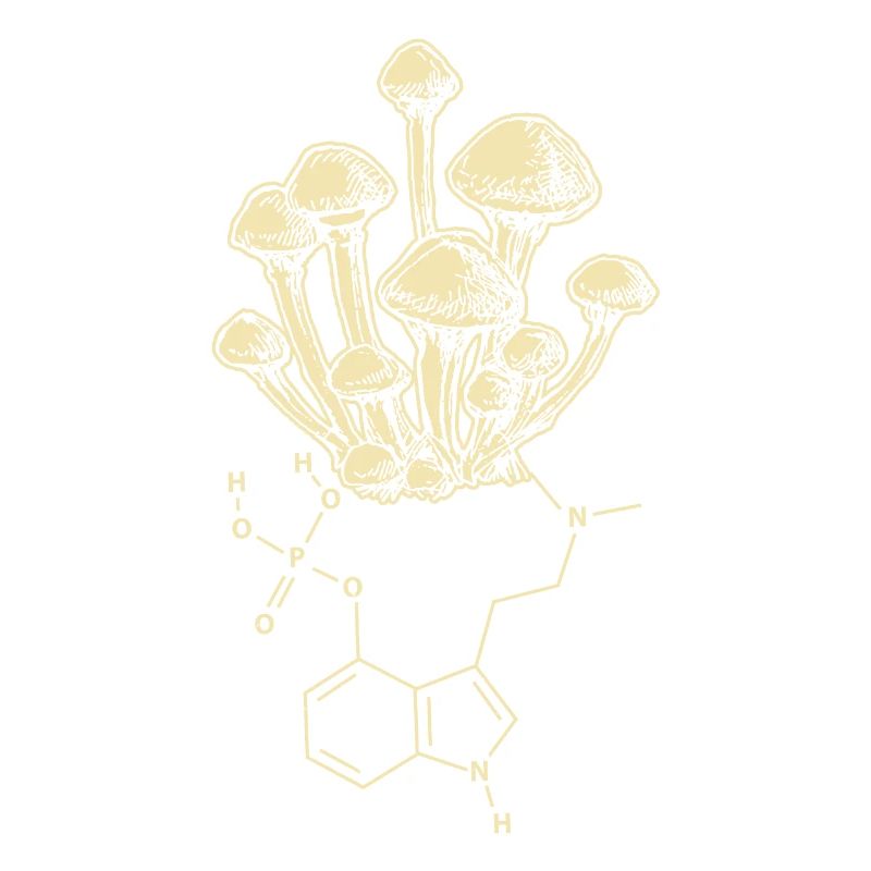 Pilz Enthogen Psilocybin