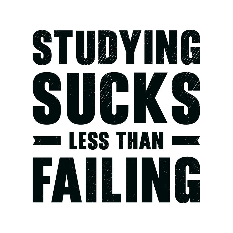 Studying Student Learning Education Lessons Study