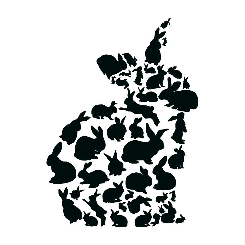 Rabbit Pet Animal Rabbit Rabbit Silhouette