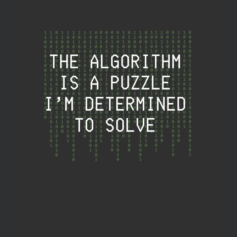 Algorithm Puzzle Solve Binary Code