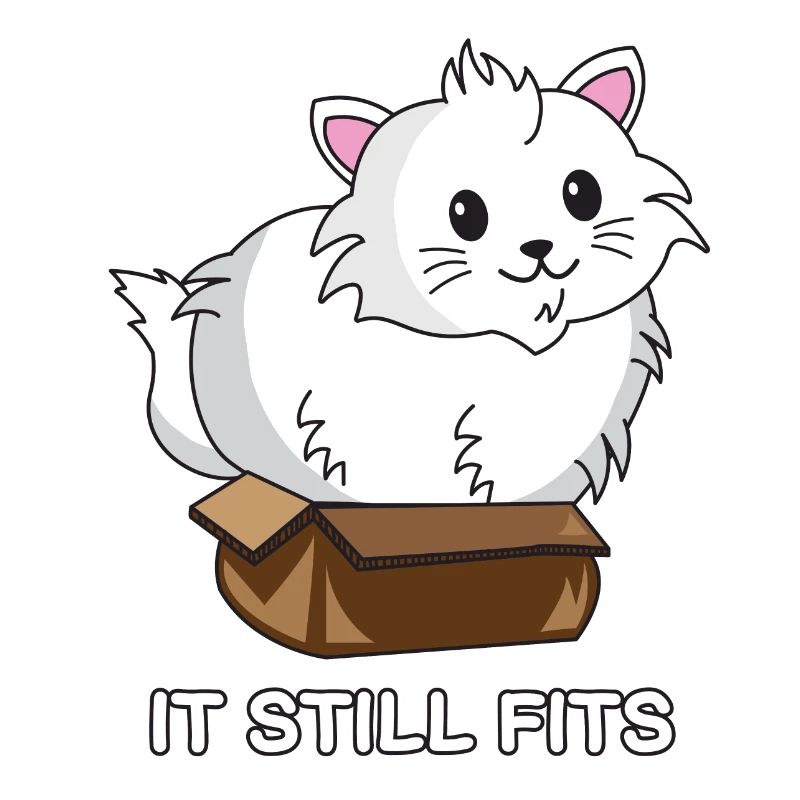 cat box | Katze | Karton | it still fits | funny