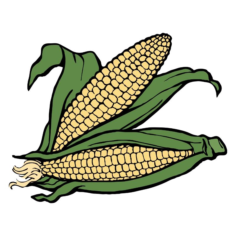 mais corn maize getreide veggie gemuese vegetables