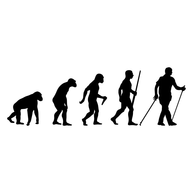 Évolution de la marche nordique