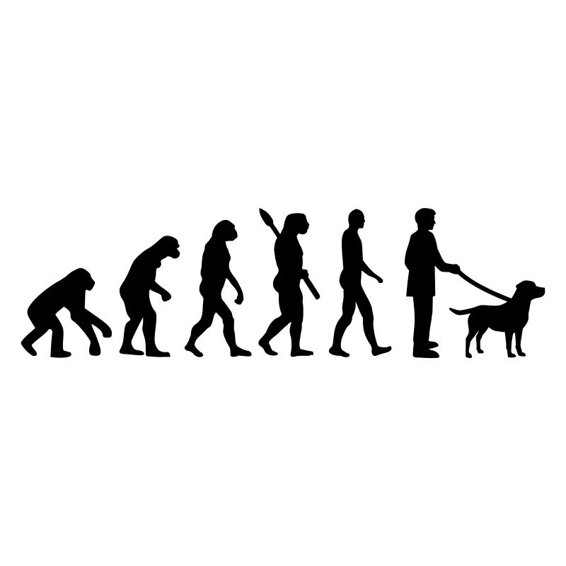 Labrador