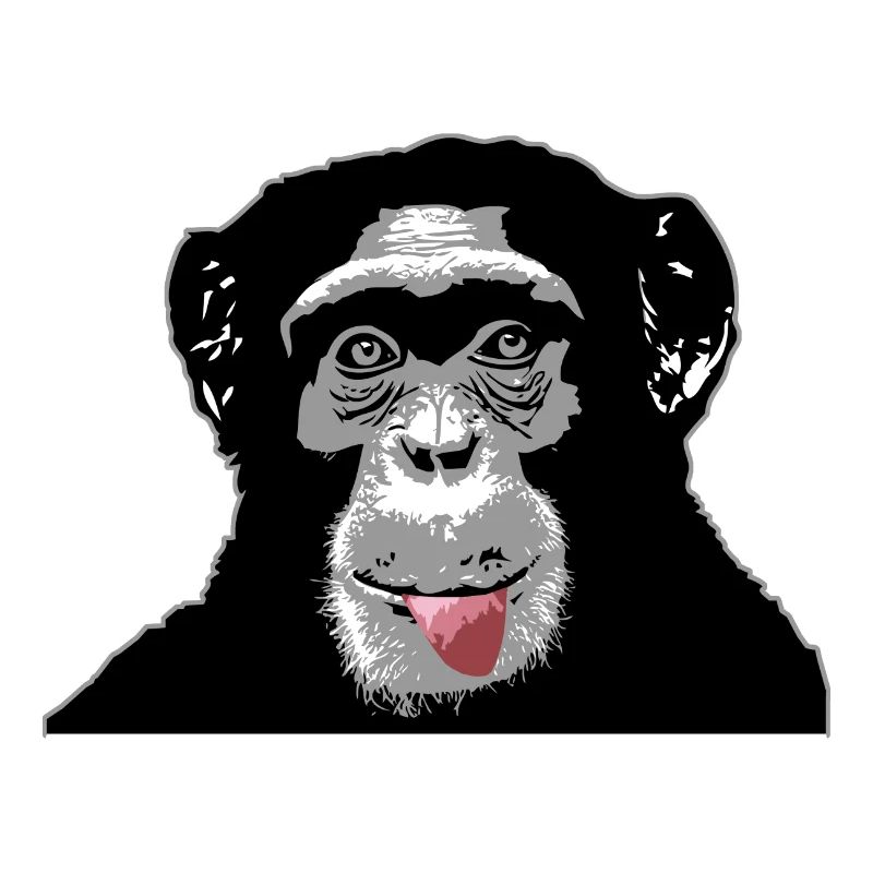 Chimpanzee - monkey