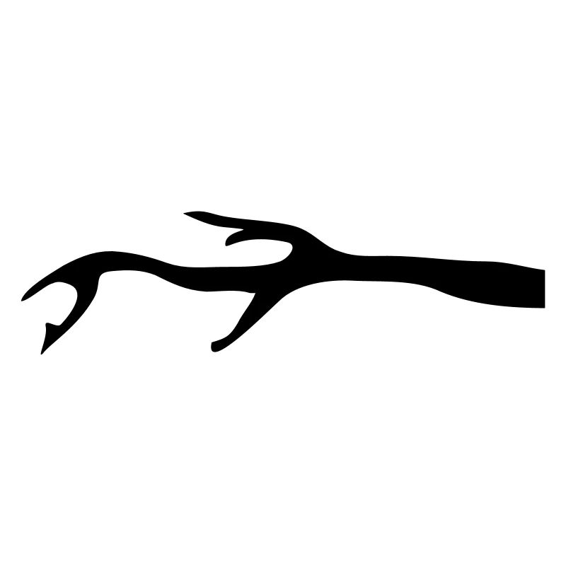 Branch