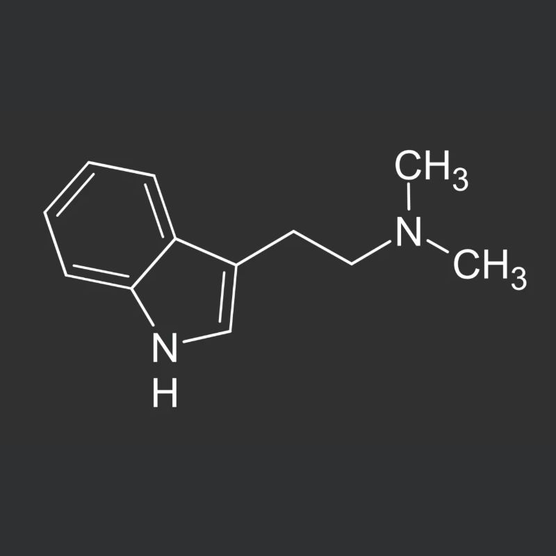 DMT dimethyltryptamine structural formula