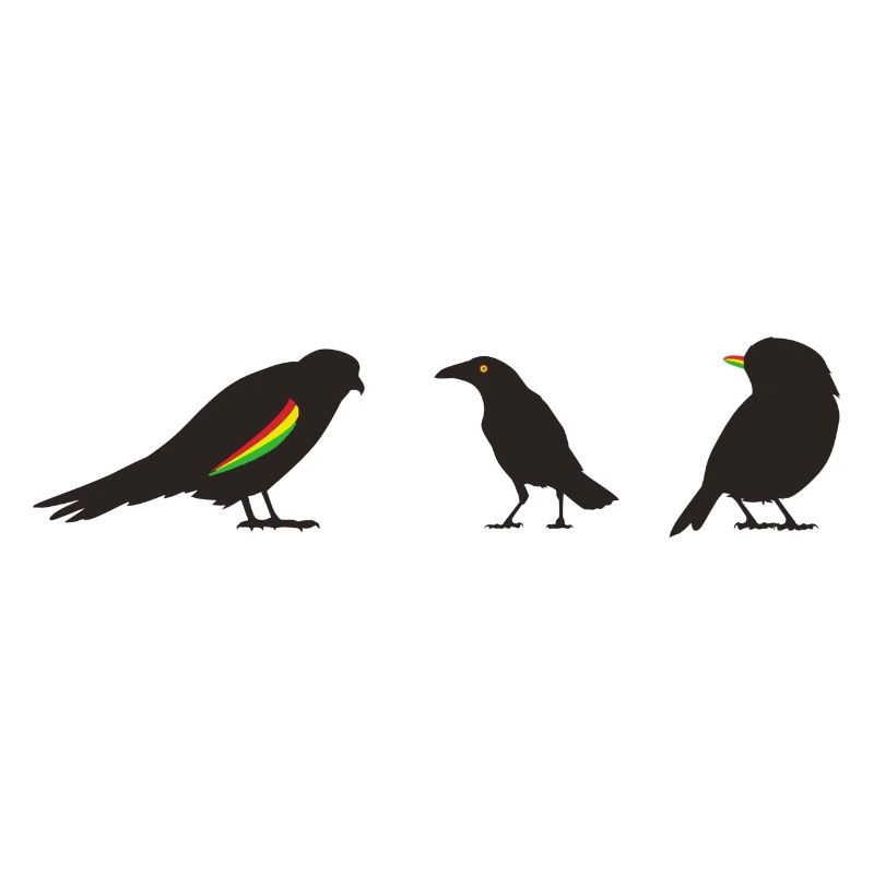 Oiseaux reggae