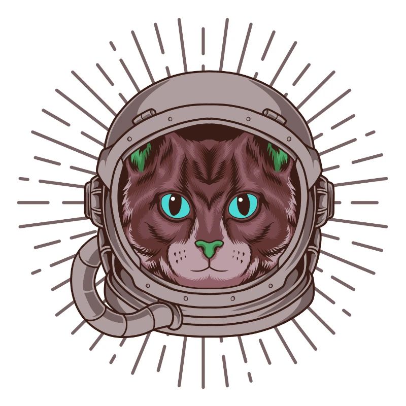 Chat astronaute