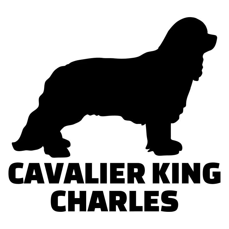 Cavalier King Charles