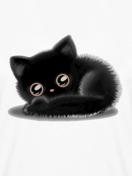 Schwarze Katze 🐈‍⬛