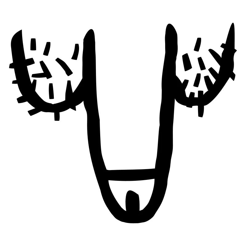 Penis