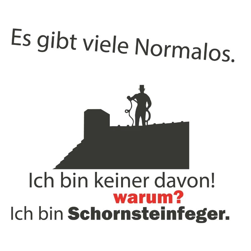 Schornsteinfeger