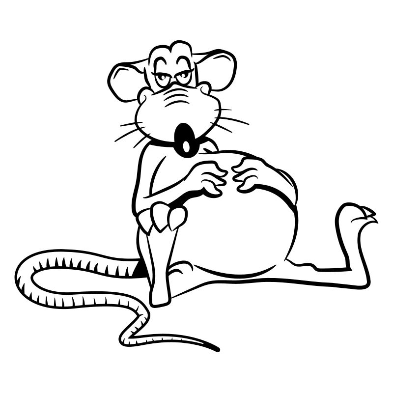 ratte satt müde