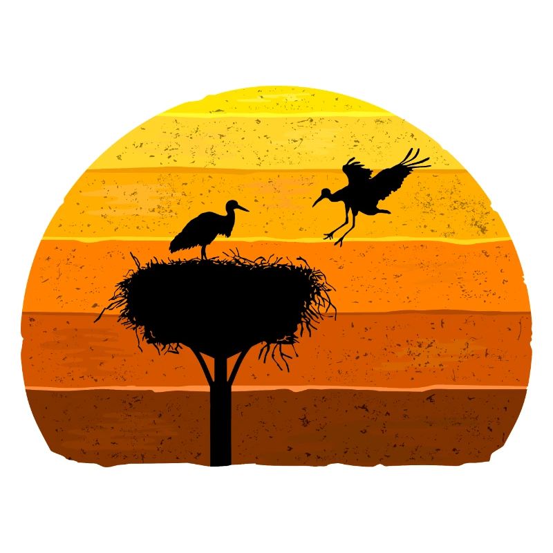 Stork, Nest, Storks, Sunset Bird Flight